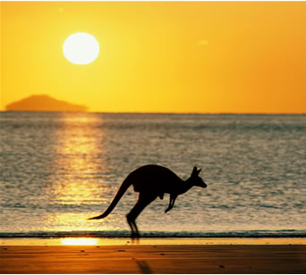 Hopping to Australia Photo from www.immigration2australia.com