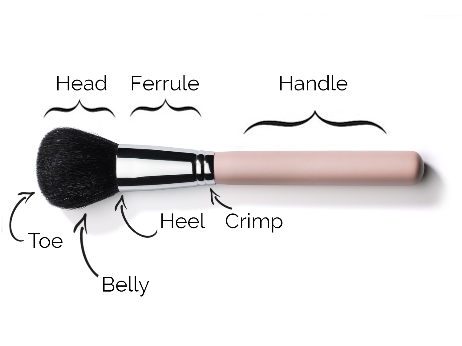 Parts of a brush